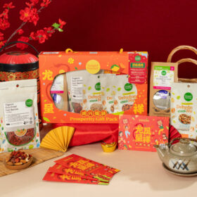 ZENXIN Chinese New Year Gifts 2024