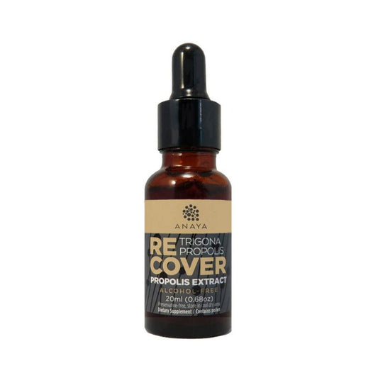 Anaya Trigona Propolis Recover Propolis Extract 20ml