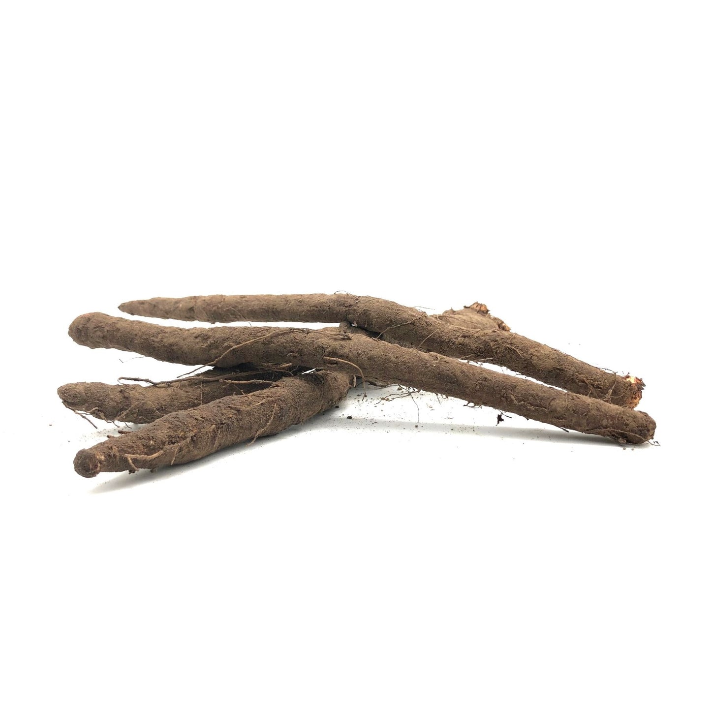 Organic Burdock 180g Holland