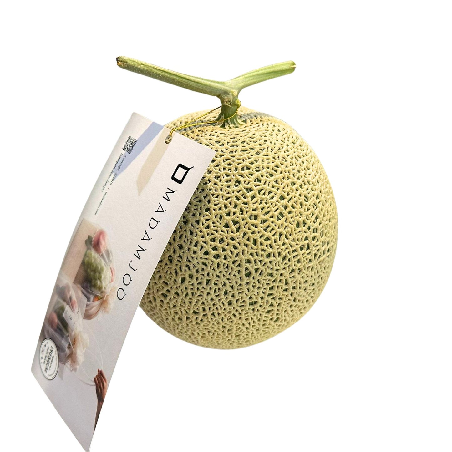 MadamJOO Korea Melon pc