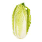 Organic Chinese Cabbage 500g Thailand/Malaysia