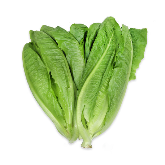 Organic Cos Lettuce 200g Thailand/Malaysia