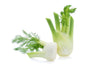 Organic Fennel 170g malaysia