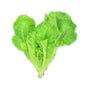 Organic Leaf Lettuce 200g Thailand