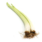 Organic leek Malaysia 200g