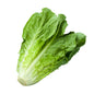 Organic Crystal Lettuce 200g Malaysia