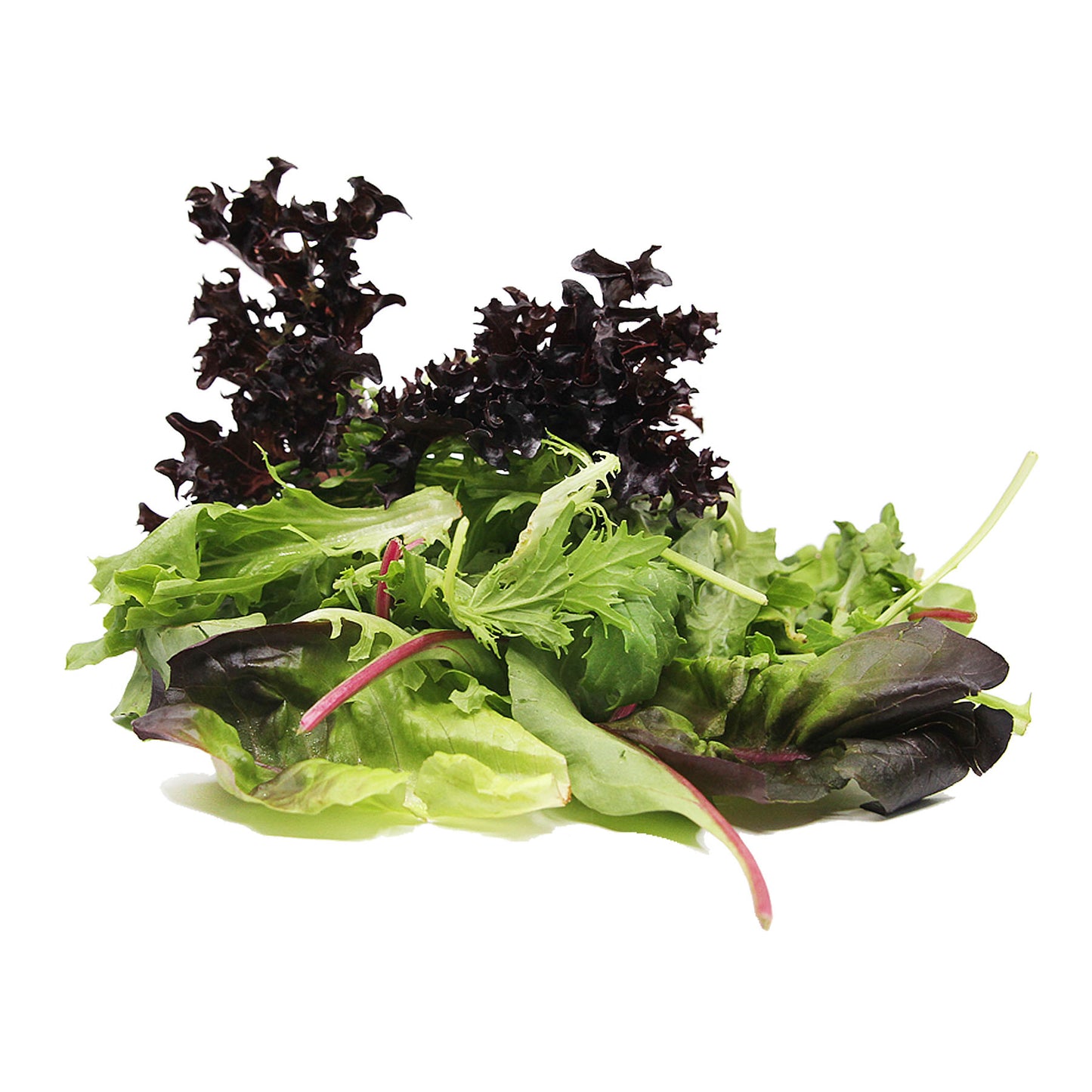 Organic Salad Leaves 120g Austalia