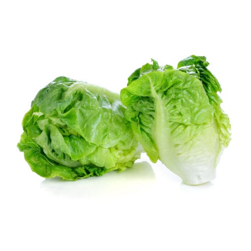 [Promotion] Organic Mini Cos Lettuce 160g Malaysia