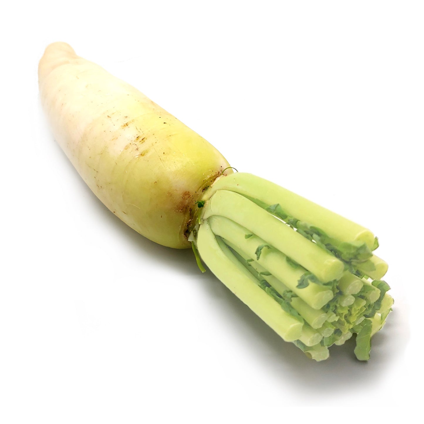 Organic White Radish Thailand 350g