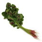 [Promotion] Organic Chinese Red Spinach 150g Thailand/Malaysia