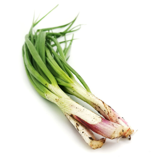 Organic Spring Onion 40g Malaysia