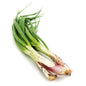 Organic Spring Onion 40g Malaysia