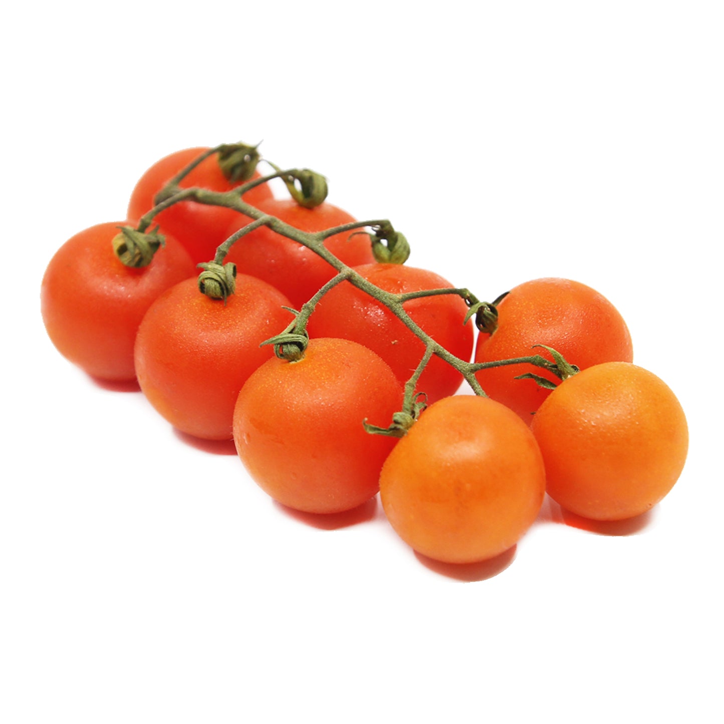 Organic Cherry Tomato On The Vine  netherlands