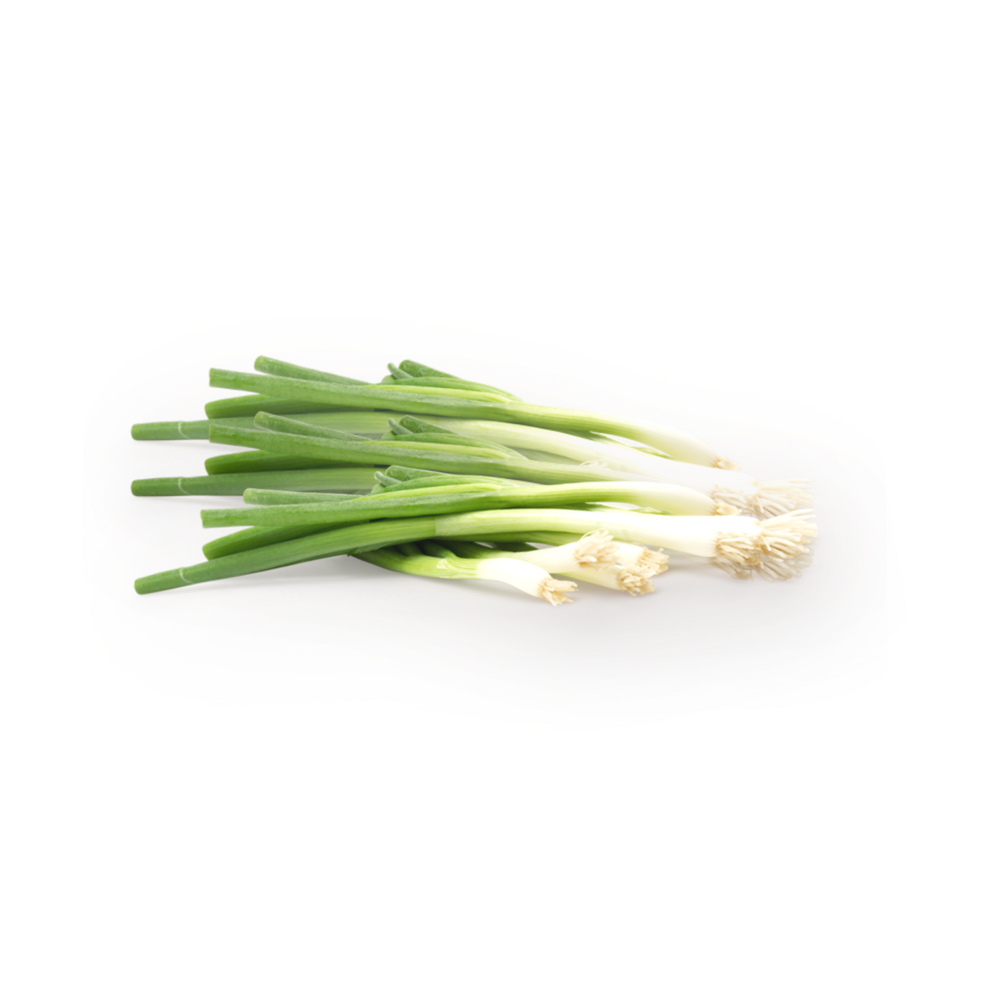 Organic Welsh Onion 40g Thailand