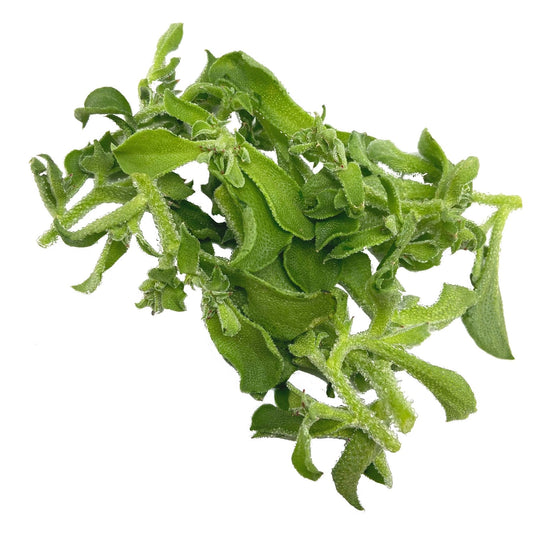 Organic Ice Plant Lettuce 80g Malaysia