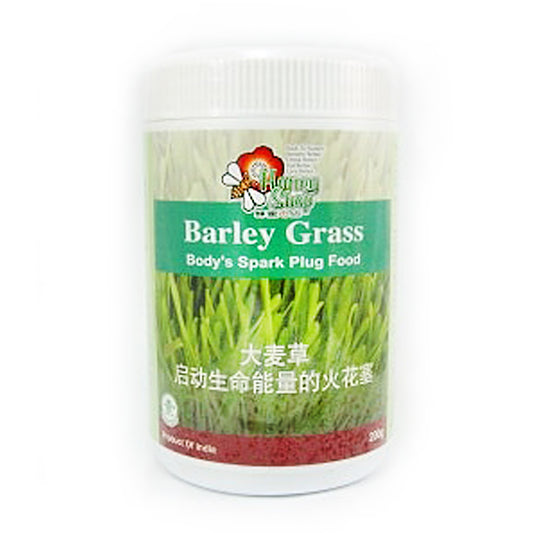 Honey Shop Organic Barley Grass Powder 200g