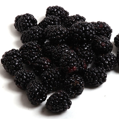 Organic Blackberries 170g USA