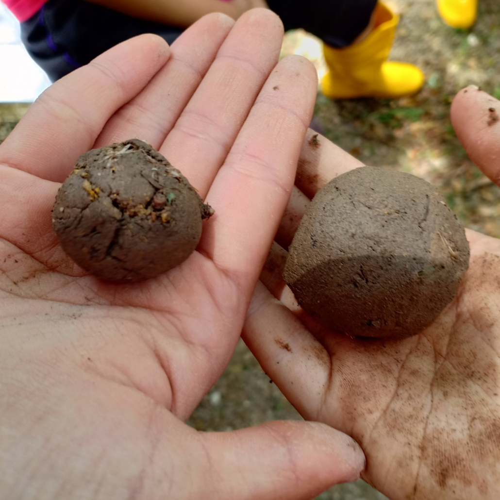 Zenxin Organic Park