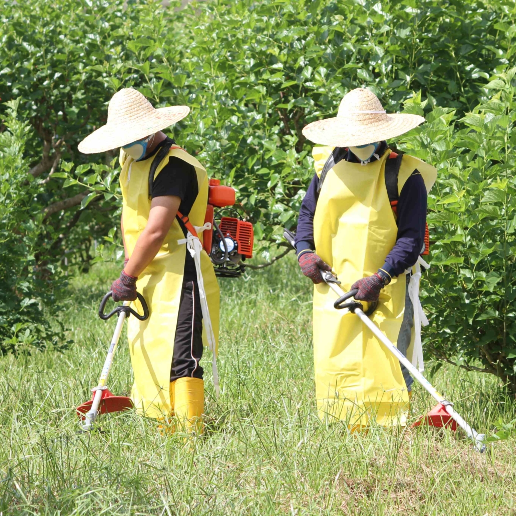 Zenxin Organic Park